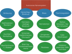 Autonomes Nervensystem