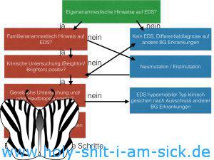 Diagnostik .001