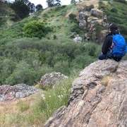 Eine Frau sitzt mit dem Rücken zur Kamera auf einem Felsvorsprung und schaut in einen Canyon, in dem Blumen blühen und viele grüne Bäume stehen. Die Frau trägt einen blauen Wanderrucksack.